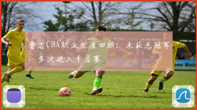 曹岩CBA职业生涯回顾：未获总冠军，多次进入季后赛