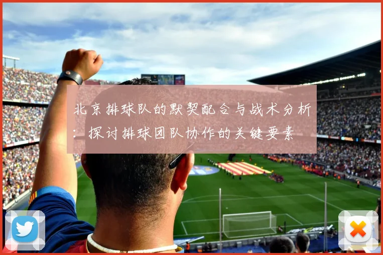 北京排球队的默契配合与战术分析：探讨排球团队协作的关键要素